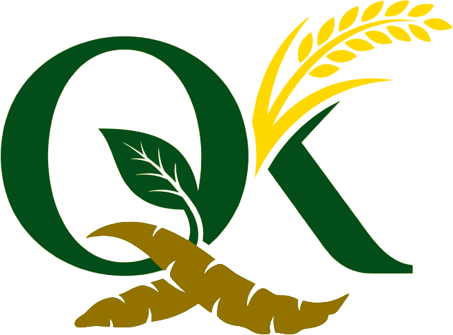 Logo Quỳnh Khoa Bình Thuận